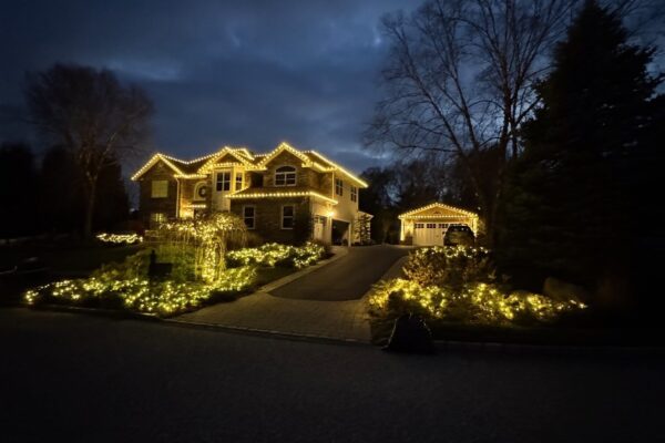 newimages (1)