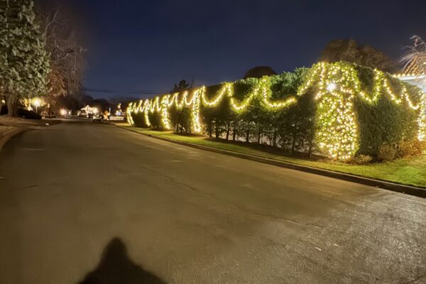 newimages (4)